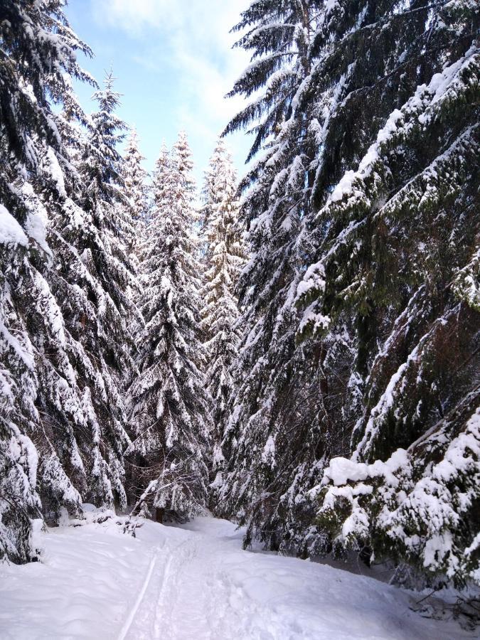 Ski Apartmany Spiezovec Donovaly Zewnętrze zdjęcie